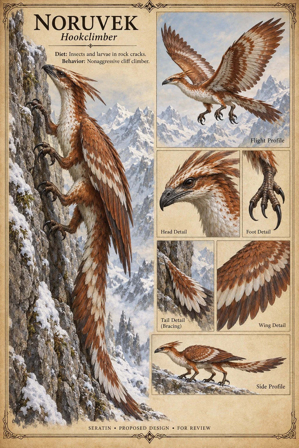 Fauna reference sheet showing Noruvek — Hookclimber with appearance and anatomical detail studies.